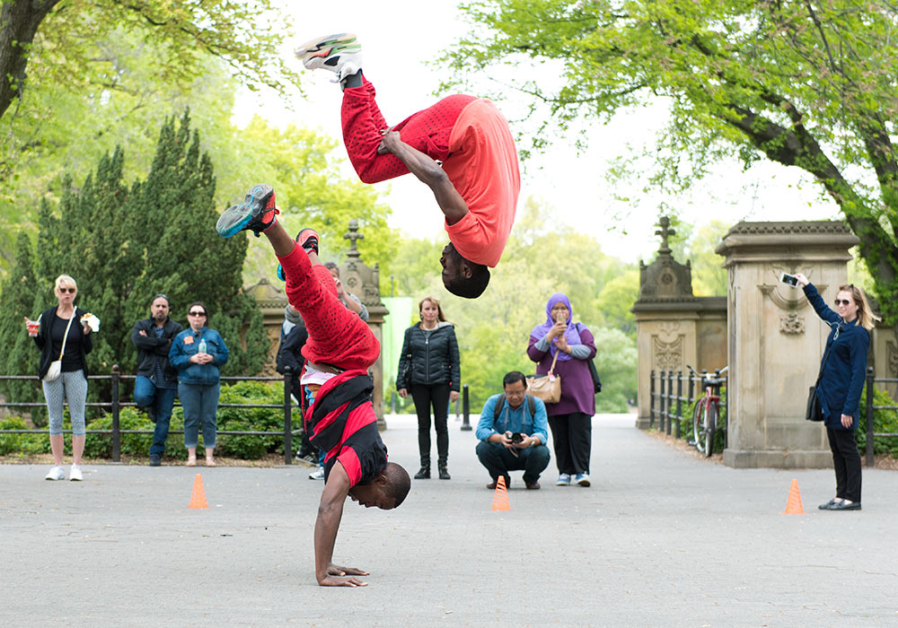 Central Park (New York)